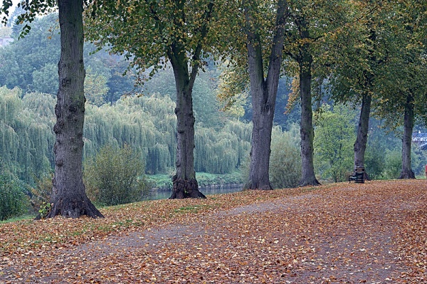Landscape Photography landscape moorland m62 dovestone canon 100d nature saddleworth moor isle of man obolisk landscape photography peter costello