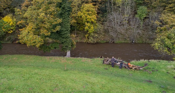 Whalley - Landscapes