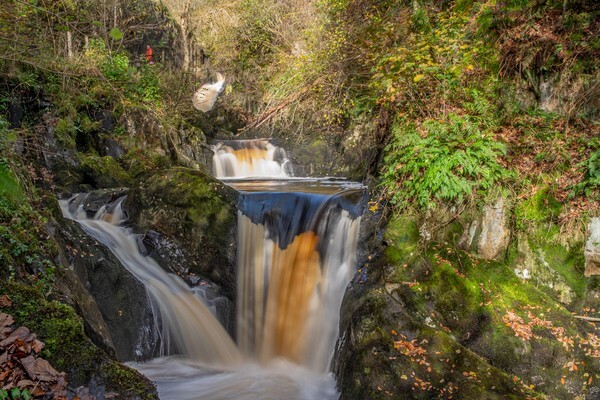 Ingleton Waterfalls - Landscapes
