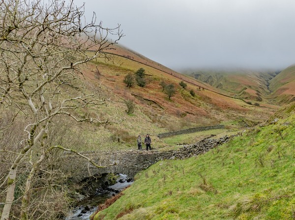 Ling Hill - Landscapes