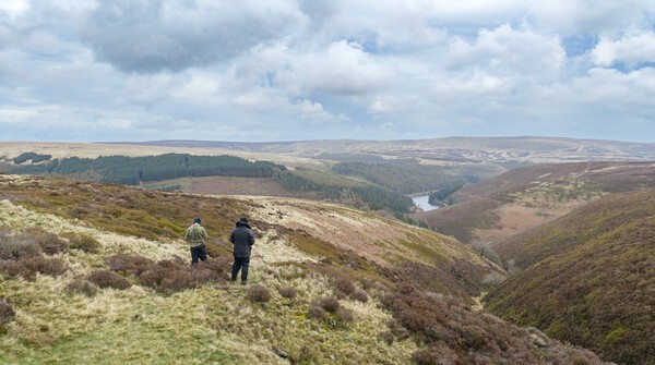 Alport Castles - Landscapes
