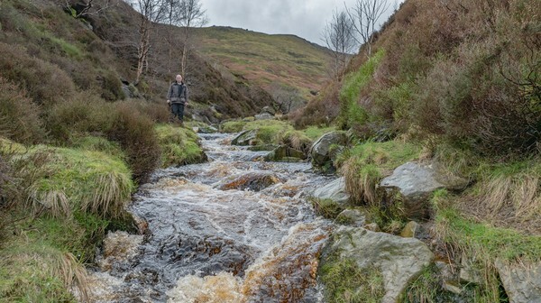 Snake Road - Landscapes