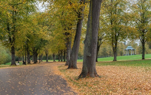 Shrewsbury - Landscapes