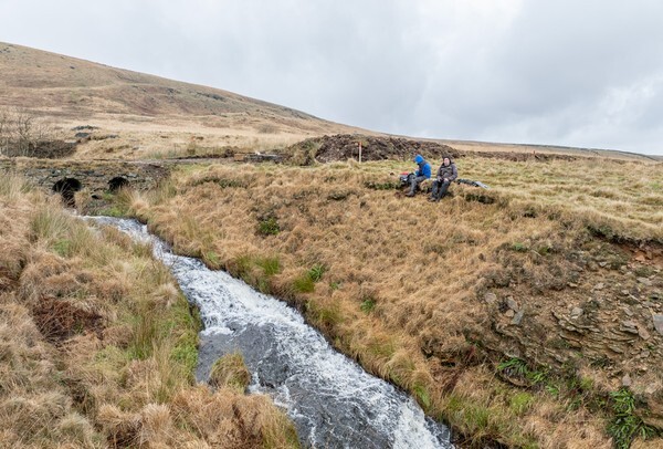 Moleside Moor - Landscapes