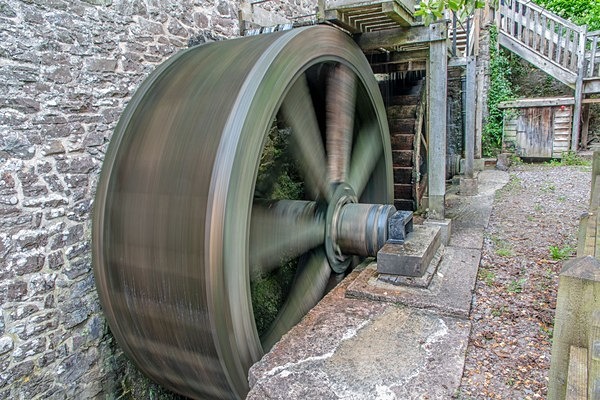 Dunster Castle - Landscapes