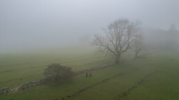 Forest of Bowland - Landscapes
