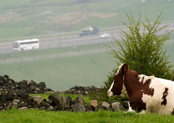 Landscape Photography landscape moorland m62 dovestone canon 100d nature saddleworth moor isle of man obolisk landscape photography peter costello