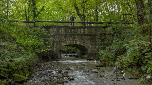 Feniscowles - Landscapes