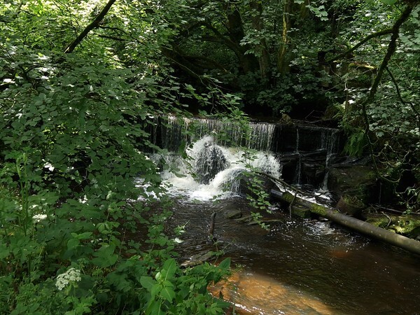 Padley Gorge - miscellaneous