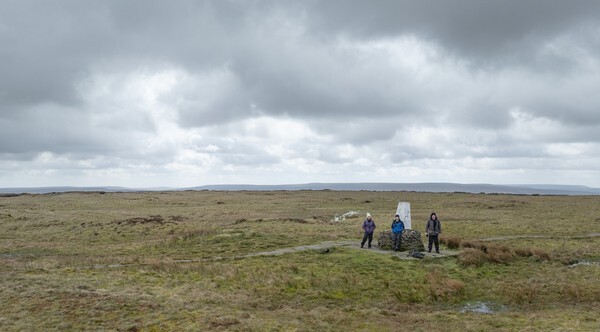 Black Hill - Landscapes