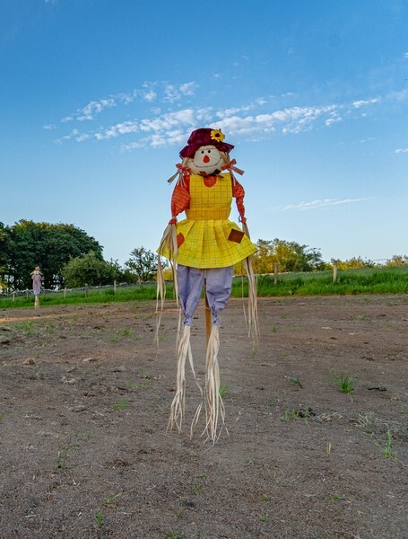 Forest of Bowland - miscellaneous