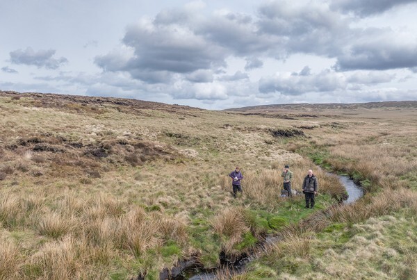 Black Hill - Landscapes