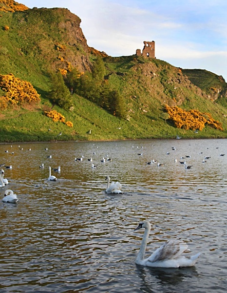 aurthurs seat edinburgh scotland