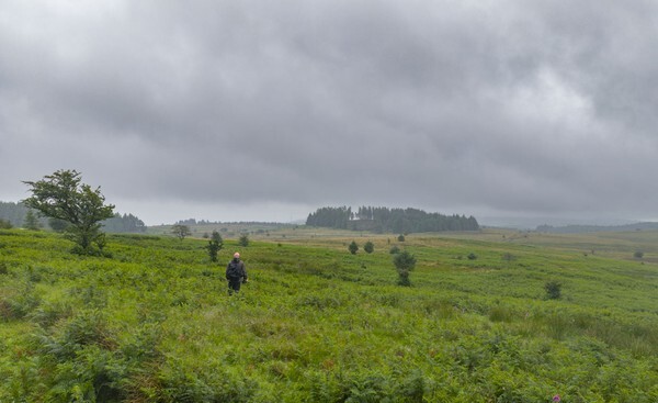 Killington - Landscapes