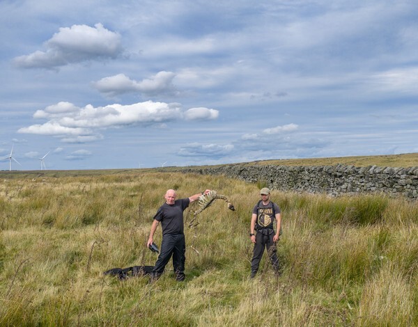 Ramsden - Landscapes