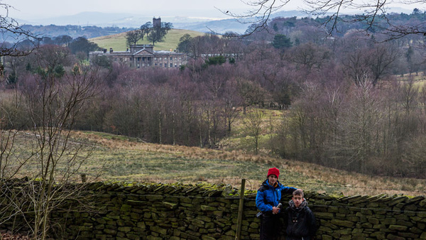 lyme park national trust deer petercostellophotography
