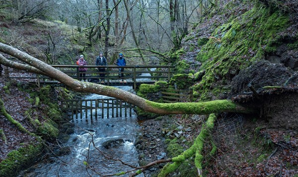 Howgill Fells - Landscapes