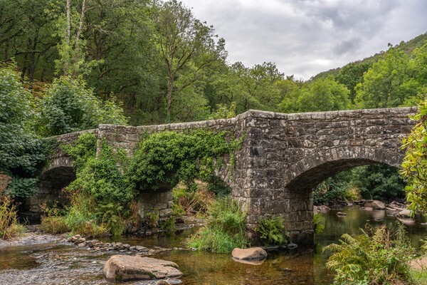 Dartmoor - Landscapes