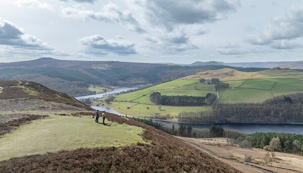 Snake Rd - Landscapes