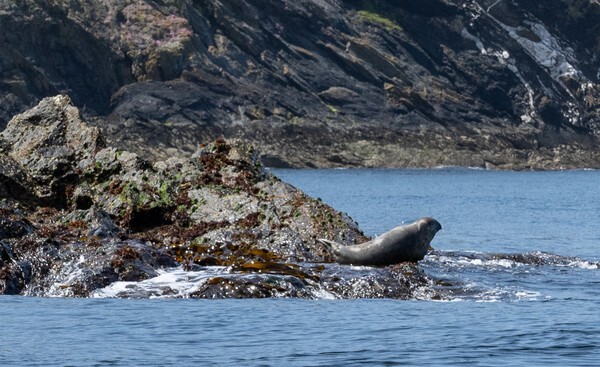 Isle of Man - Landscapes