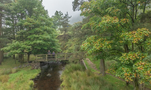 Snake Road - Landscapes