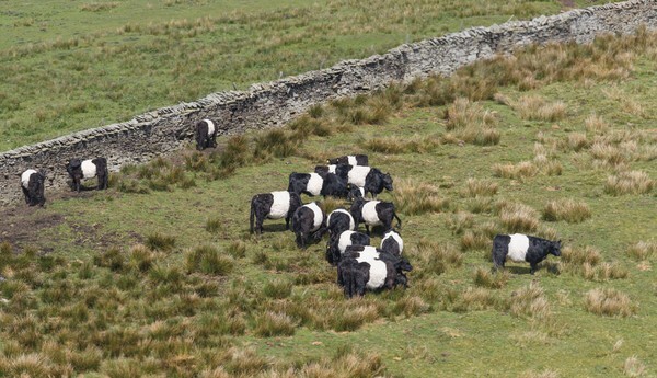 Widdop Res - Landscapes