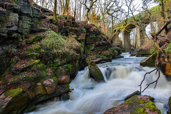 Healey Dell - Landscapes