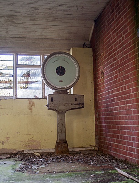 Severalls Lunatic Asylum Severalls Hospital  the Second Essex County Asylum  Severalls Mental Hospital urbex urban exploration sevs severalls hospital