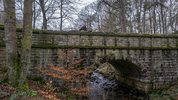 Rivelin - Landscapes