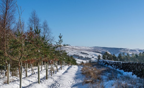 Snake Pass - Landscapes