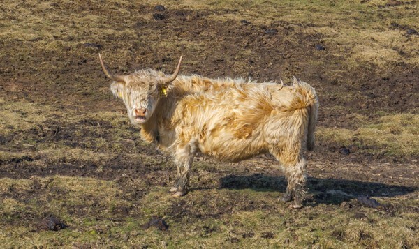 Marsden - Landscapes
