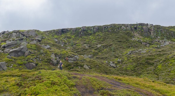 Woodhead - Landscapes