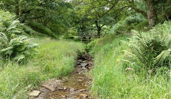 Haslingden - Landscapes