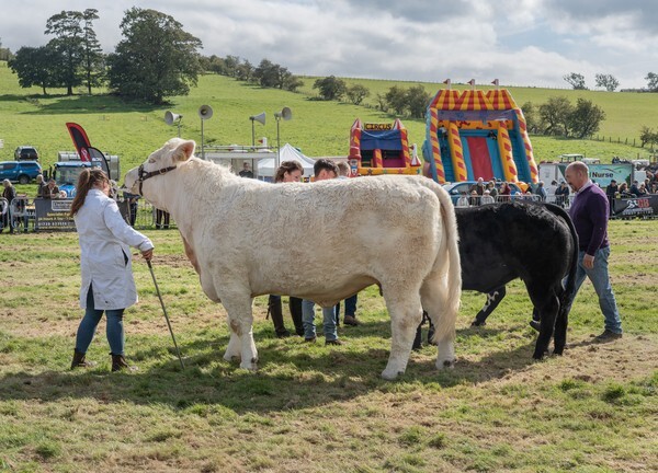 Hodder Show - miscellaneous