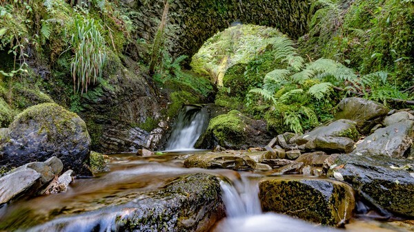 Loweswater - Landscapes