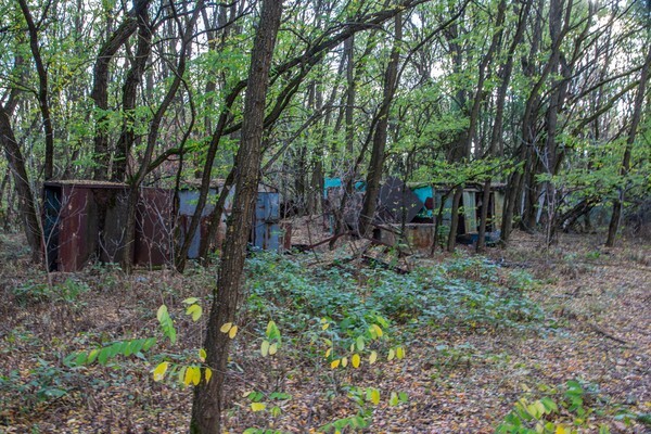 Pripyat Sailing Club - Chernobyl, Pripyat & Duga Radar