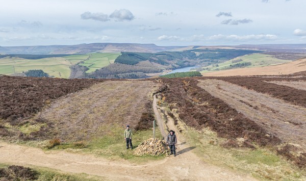 Snake Rd - Landscapes
