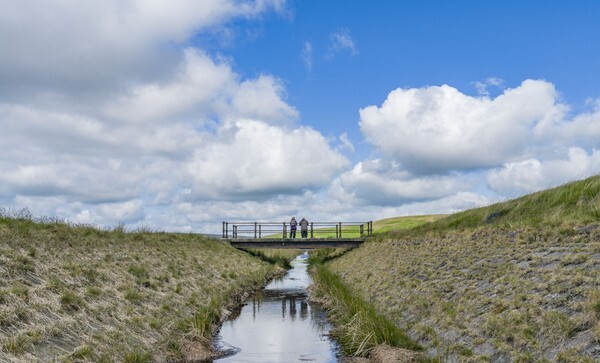 Rishworth Moor - Landscapes