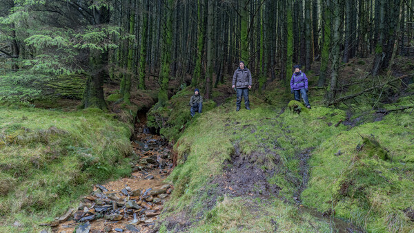 Cogra Moss - Landscapes