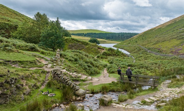 Loweswater - Landscapes