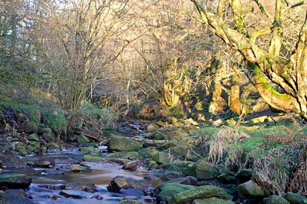 Landscape Photography landscape moorland m62 dovestone canon 100d nature saddleworth moor isle of man obolisk landscape photography peter costello