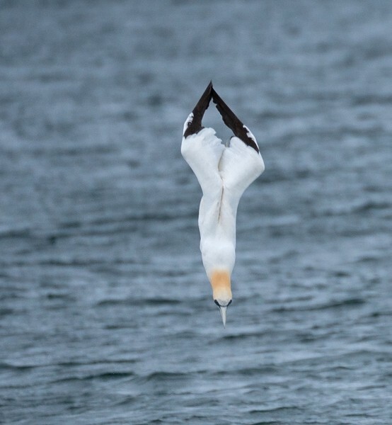 Isle of Man - miscellaneous