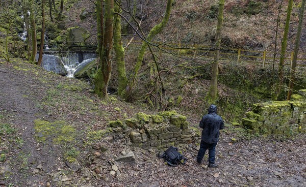 Warland Moor - Landscapes