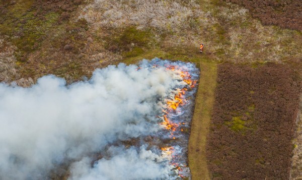 Chunal Moor - Landscapes