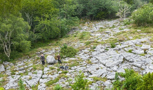 Burton in Kendal - Landscapes