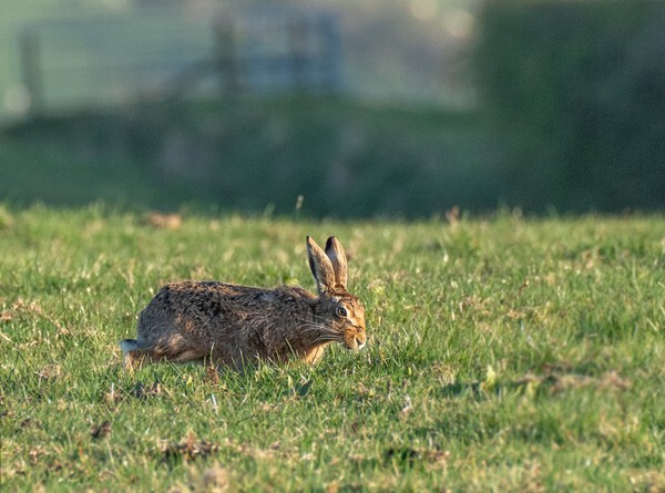 Forest of Bowland - miscellaneous