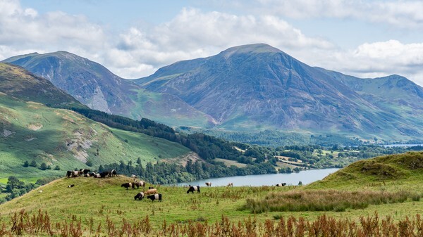 Loweswater - Landscapes