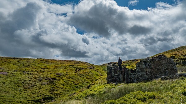 Twizle Head Moss - Landscapes
