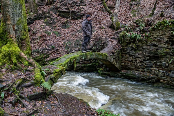 Healey Dell - Landscapes
