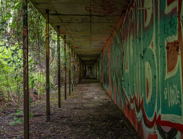 Totley - Landscapes